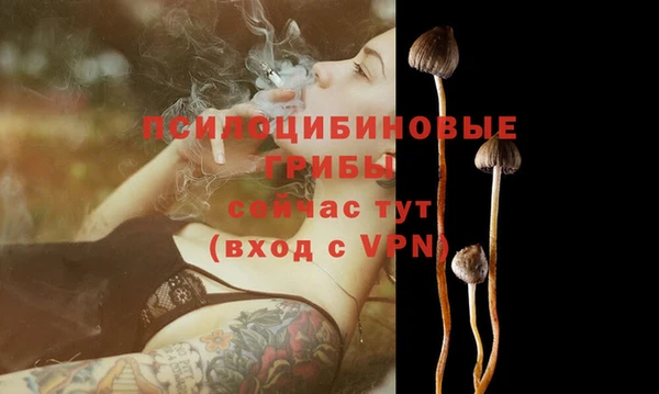не бодяженный Зеленодольск