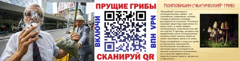Псилоцибиновые грибы GOLDEN TEACHER  Хотьково 