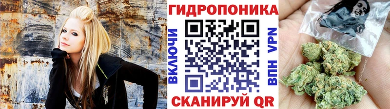 Шишки марихуана MAZAR  ОМГ ОМГ tor  мориарти какой сайт  дарнет шоп  Хотьково 
